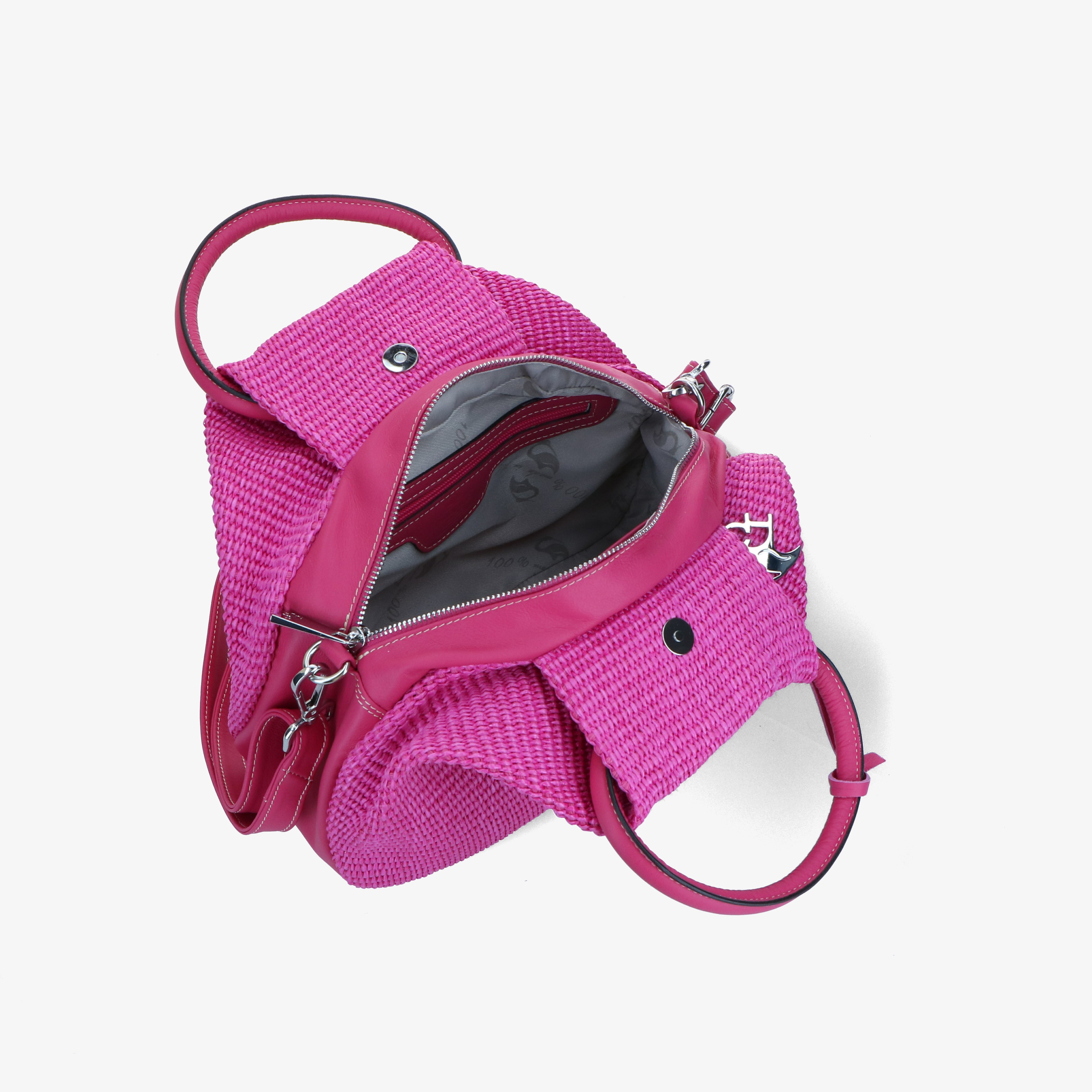 Exilis 3228 - Charlotte Pelletteria
