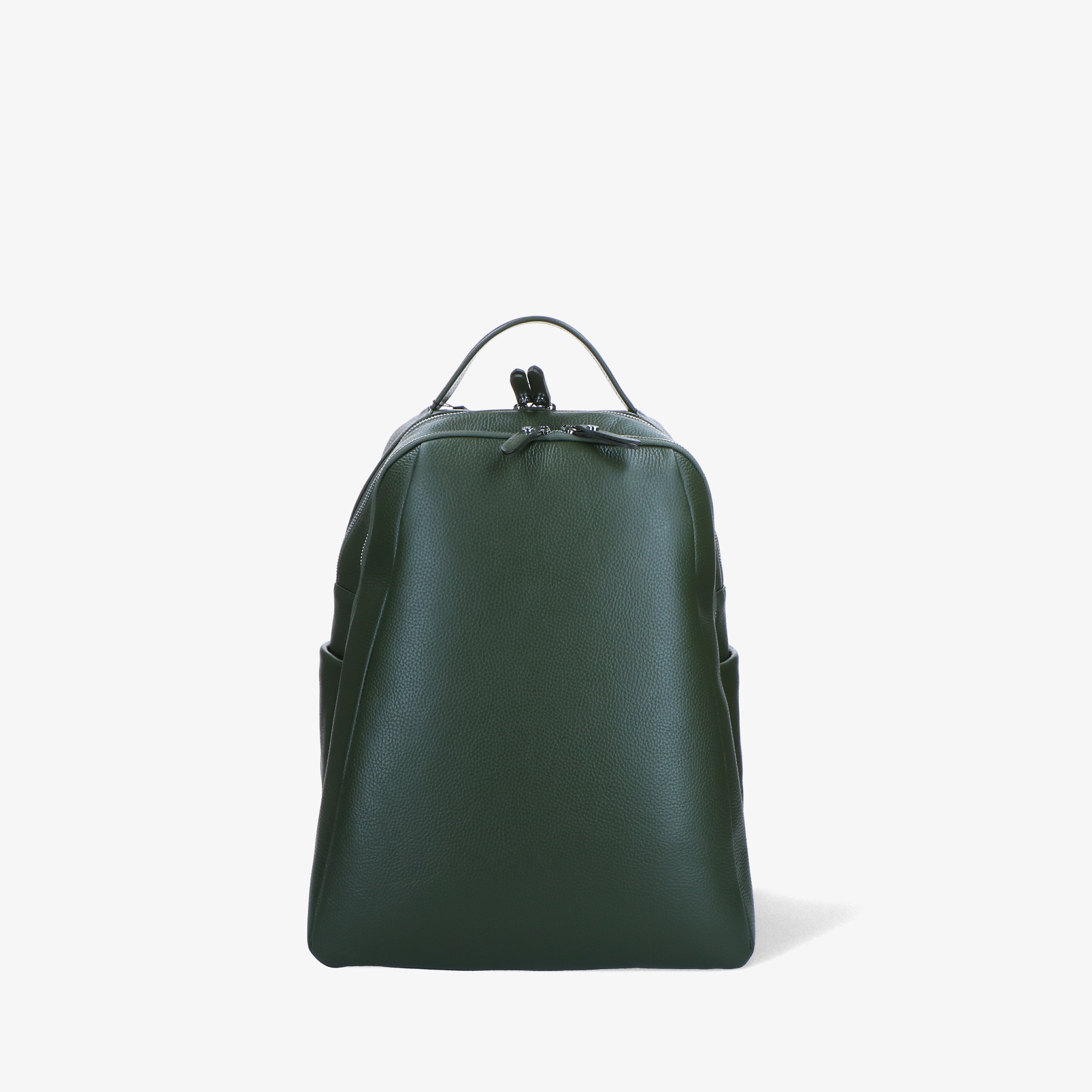 Zebrilus 3289 - Charlotte Pelletteria